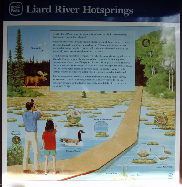 Liard River Hotsprings map